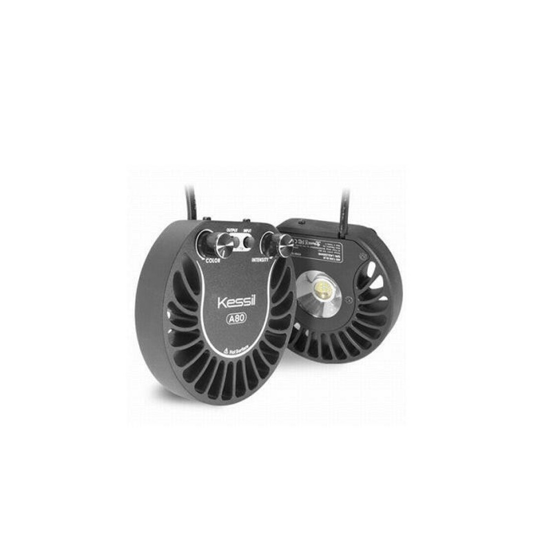 Kessil A80 LED - Tuna Sun