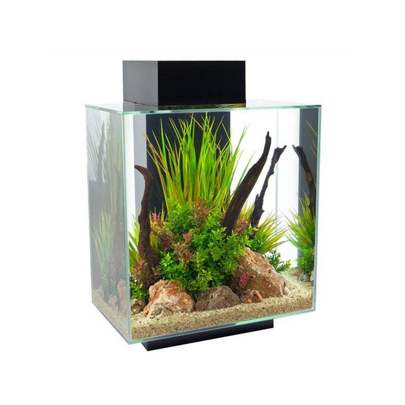 Fluval Edge 2.0 Aquarium 46 Litre - Gloss Black