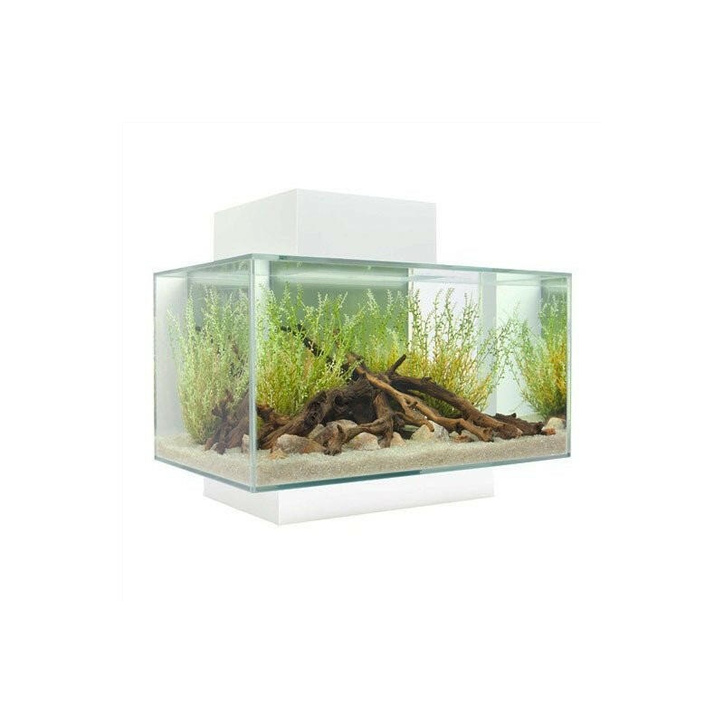 Fluval Edge 2.0 Aquarium 23 Litre - Gloss White