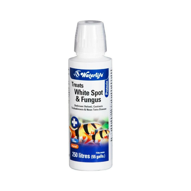Waterlife Protozin 100ml