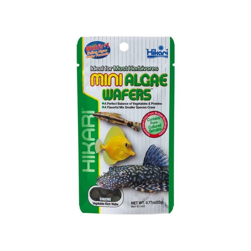 Hikari Mini Algae Wafers 1KG