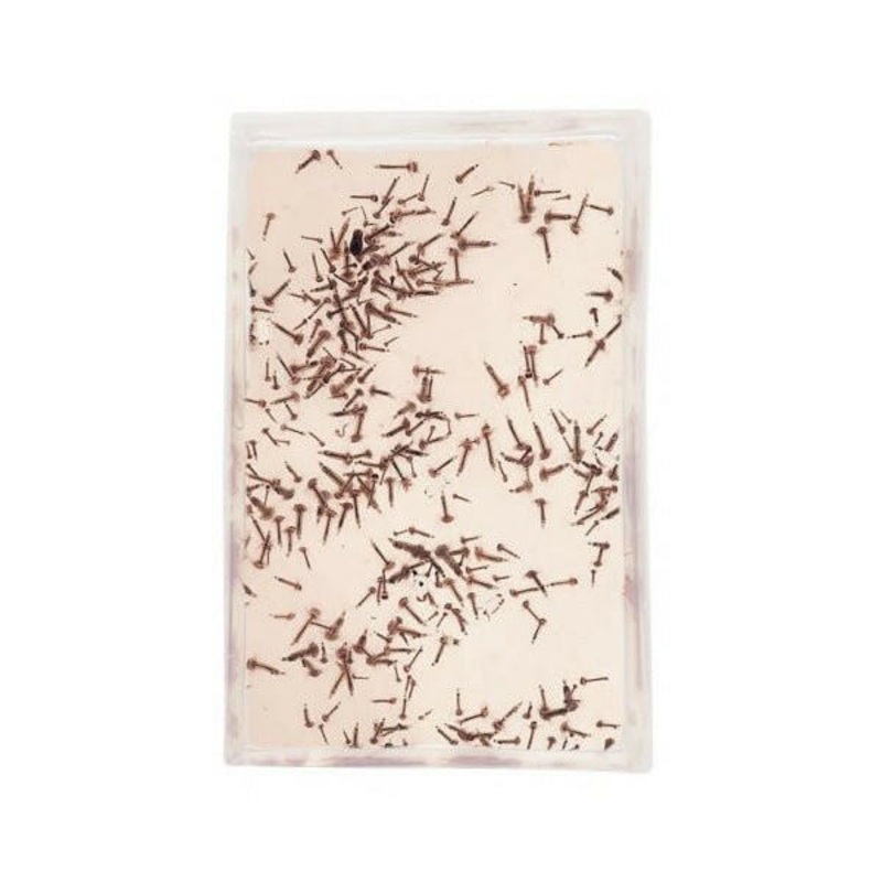 LIVE Glassworm (100ml)