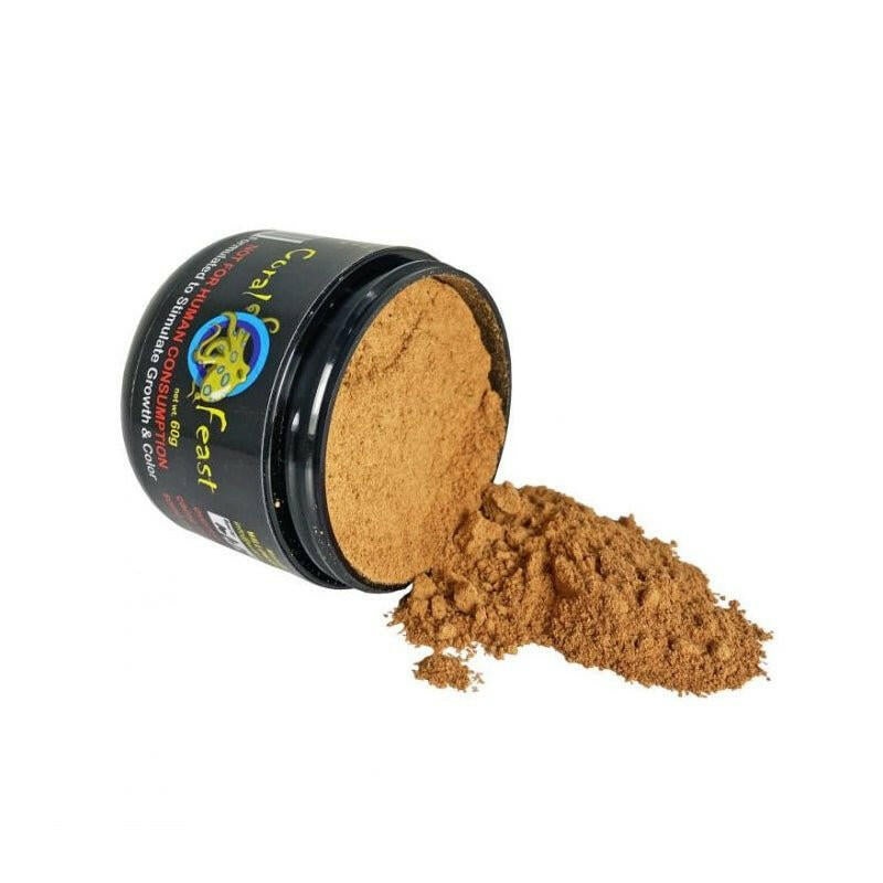 Willows Reef Coral Feast 60g
