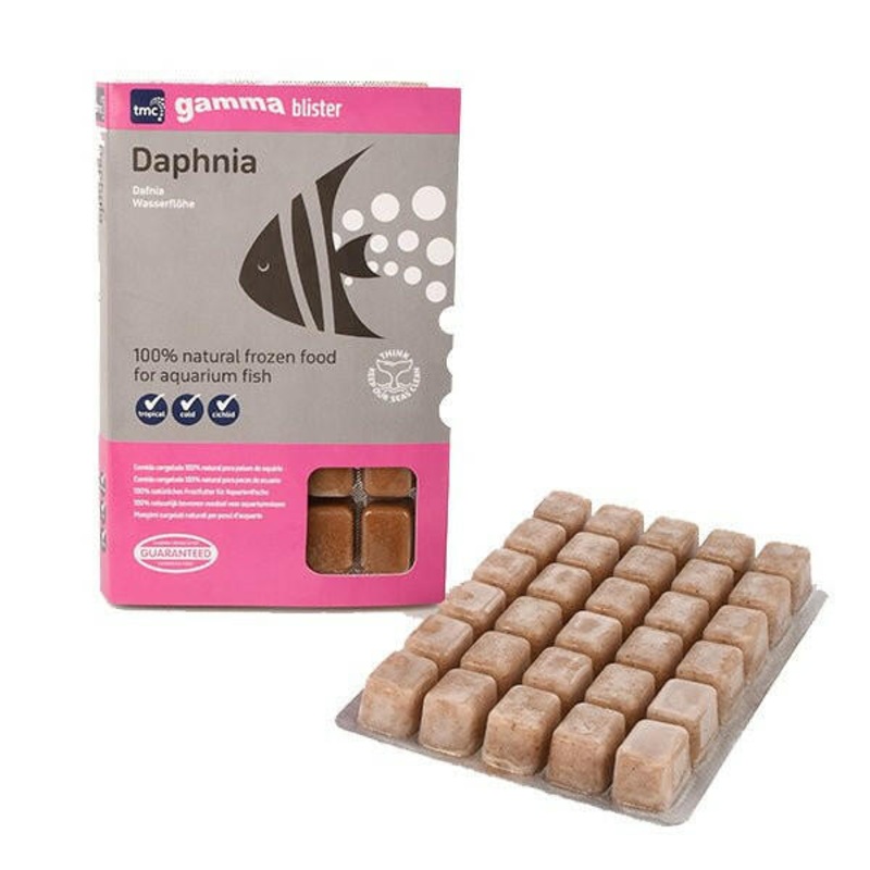 Gamma Daphnia Blister Pack 100g