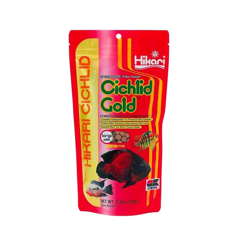 Hikari Cichlid Gold - Large 250g