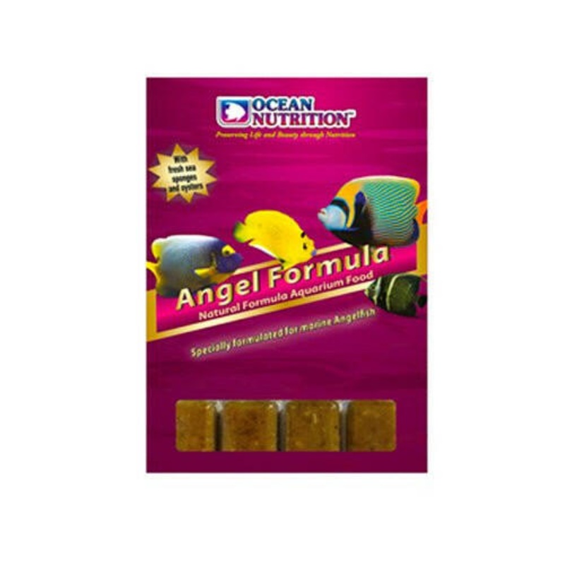 Ocean Nutrition Angel Formula (100g) Blister pack