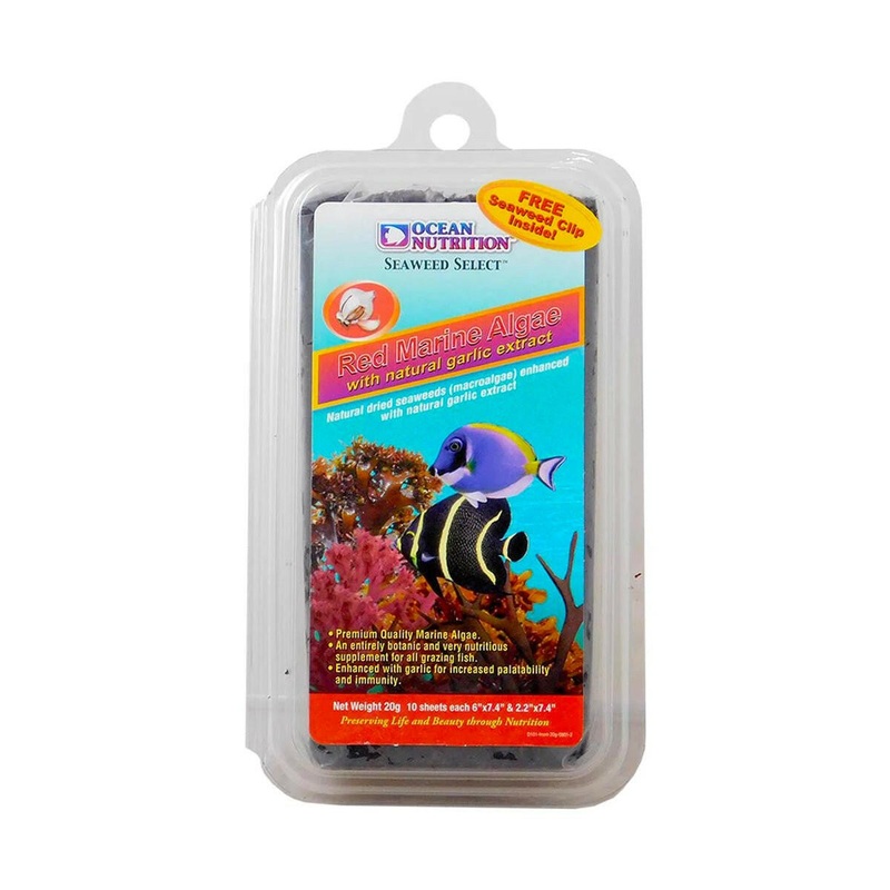Ocean Nutrition Red Marine Seaweed - 20G
