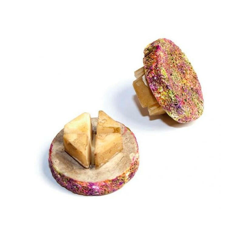 Natureform Coral Frag Plug (Egg Grate Version) x10