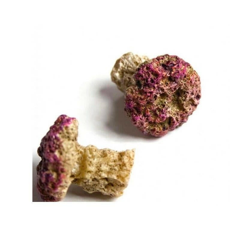 Natureform Coral Frag Plug (Standard) x10