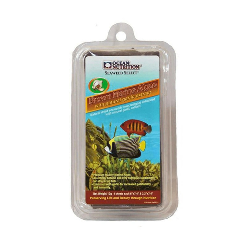 Ocean Nutrition Brown Marine Seaweed - 30G