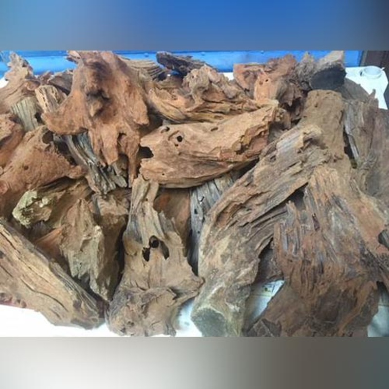 Madagascar Driftwood