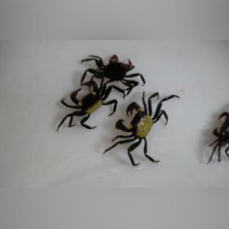 Vampire Crab (consortium of 4)